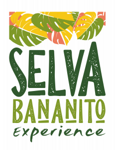 Logo-Final_Mesa-de-trabajo-1
